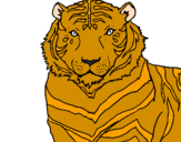 Desenho Tigre pintado por mis