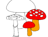 Desenho Cogumelos pintado por fungi