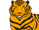 Desenho Tigre pintado por TIGRE