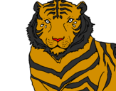 Desenho Tigre pintado por ely