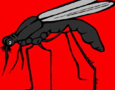 Desenho Mosquito pintado por Jackelinny