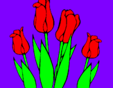 Desenho Tulipa pintado por katarina