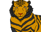 Desenho Tigre pintado por 4545t4