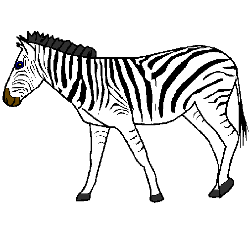 Desenho Zebra pintado por Breno