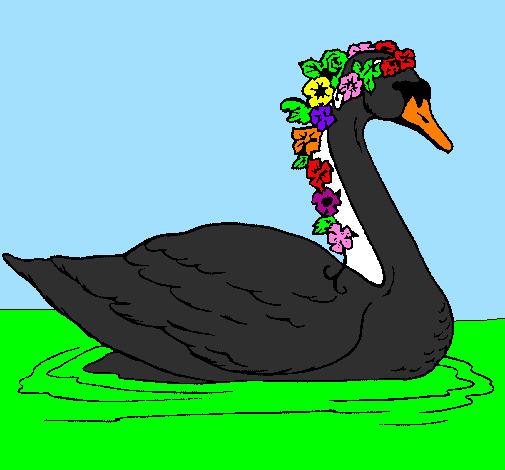 Desenho Cisne com flores pintado por cisne negro
