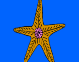 Desenho Estrela do mar pintado por Henrique Tito