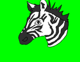 Desenho Zebra II pintado por zebra africana