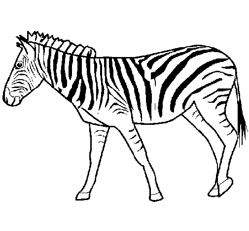 Desenho Zebra pintado por Breno