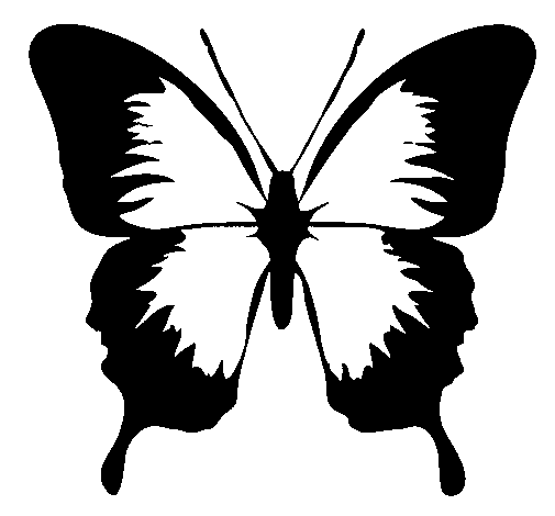 Desenho Borboleta com asas negras pintado por kk