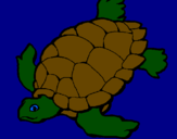Desenho Tartaruga pintado por samuel