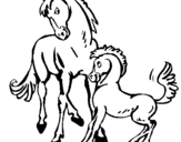 Desenho Cavalos pintado por CAVALO