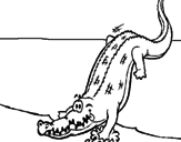 Desenho Crocodilo a entrar na água pintado por gabriel