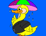 Desenho Pato sob a chuva pintado por belly sp