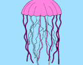 Desenho Medusa pintado por antonio