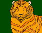 Desenho Tigre pintado por a rainha da floresta