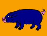 Desenho Porco com cascos negros pintado por ARTHUR