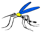 Desenho Mosquito pintado por geovana