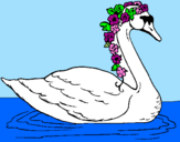 Desenho Cisne com flores pintado por larissa