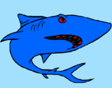 Desenho Tubarão pintado por Davi