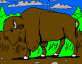 Desenho Búfalo pintado por vitor canto grande