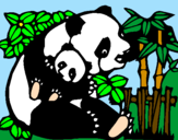 Desenho Mamã panda pintado por tata