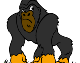 Desenho Gorila pintado por illy