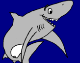 Desenho Tiburão alegre pintado por maria fer