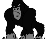 Desenho Gorila pintado por vitoria