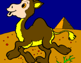 Desenho Camelo pintado por bruno mant.