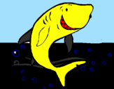 Desenho Tubarão pintado por katy