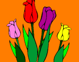 Desenho Tulipa pintado por maraleo
