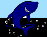 Desenho Tubarão pintado por maria fer