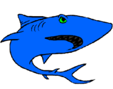 Desenho Tubarão pintado por pedro igor.