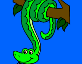 Desenho Serpente pendurada numa árvore pintado por B.