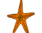 Desenho Estrela do mar pintado por maria