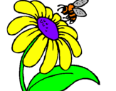 Desenho Margarida com abelha pintado por caio victor