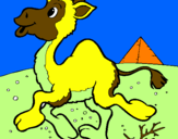 Desenho Camelo pintado por YASMIN