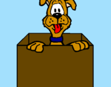 Desenho Cão dentro da caixa pintado por Gabriele
