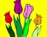 Desenho Tulipa pintado por Maria julia pop star