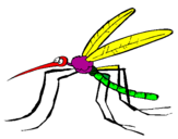Desenho Mosquito pintado por cio