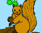 Desenho Esquilo pintado por julia arielly buineo