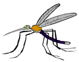 Desenho Mosquito pintado por deng