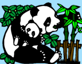 Desenho Mamã panda pintado por maria helena