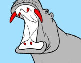 Desenho Hipopótamo com a boca aberta pintado por eduardo