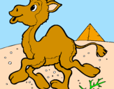 Desenho Camelo pintado por BIEL