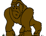 Desenho Gorila pintado por thyago