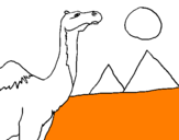 Desenho Camelo pintado por 55