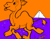 Desenho Camelo pintado por João Vitor