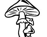 Desenho Cogumelos pintado por fff