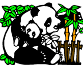 Desenho Mamã panda pintado por nunex